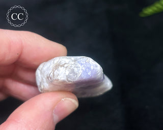 Morado Purple Opal Polished #8