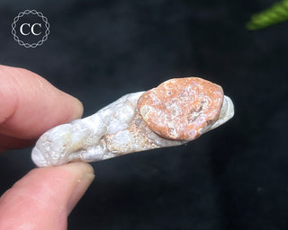 Morado Purple Opal Polished #9