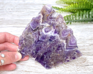 Moroccan Amethyst Slice #6