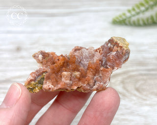 Moroccan Chalcedony Geode #9