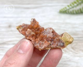 Moroccan Chalcedony Geode #9