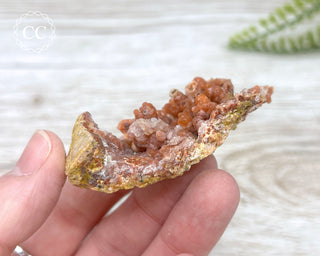 Moroccan Chalcedony Geode #9