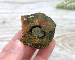 Moroccan Chalcedony Geode #3