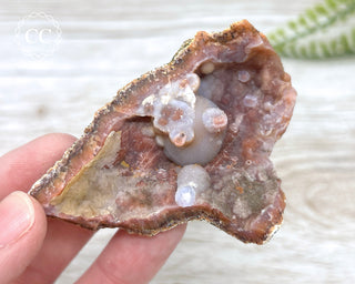 Moroccan Chalcedony Geode #4