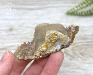 Moroccan Chalcedony Geode #5