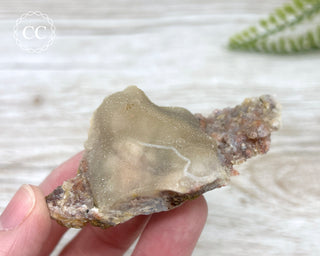 Moroccan Chalcedony Geode #5