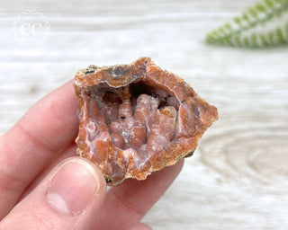 Moroccan Chalcedony Geode #7