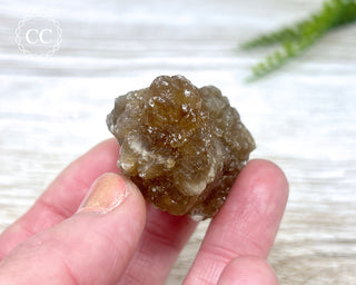 Natural Citrine - Morocco #6
