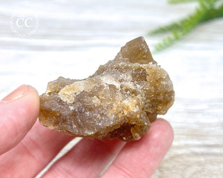 Natural Citrine - Morocco #8