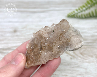 Moroccan Quartz and Chalcedony Geode #15