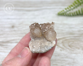 Moroccan Quartz and Chalcedony Geode #15