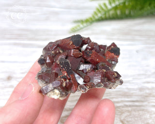 Moroccan Red Quartz #11