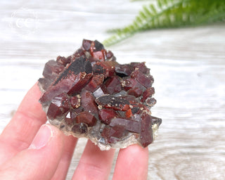 Moroccan Red Quartz #11