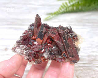 Moroccan Red Quartz #3