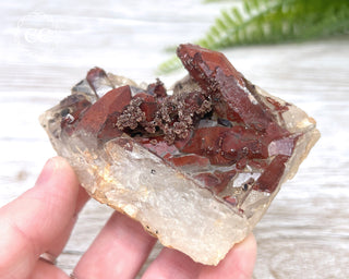 Moroccan Red Quartz #5