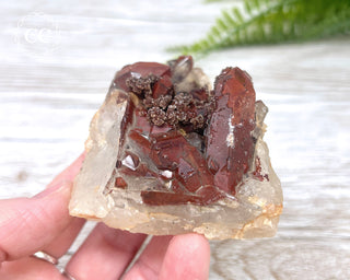 Moroccan Red Quartz #5