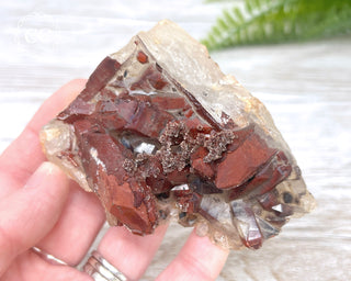 Moroccan Red Quartz #5