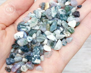 Moss Agate Crystal Chips 50g
