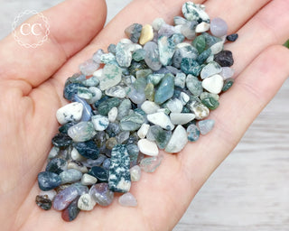 Moss Agate Crystal Chips 50g in hand