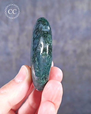 Moss Agate Palm Stone #2