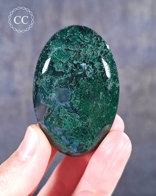 Moss Agate Palm Stone #3