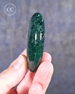 Moss Agate Palm Stone #3