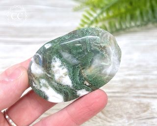 Moss Agate Palm Stone #3