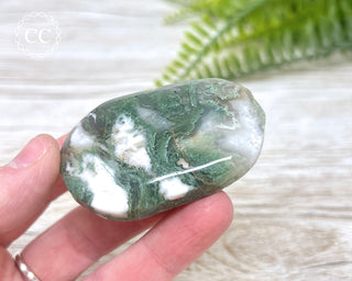 Moss Agate Palm Stone #3