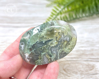 Moss Agate Palm Stone #3