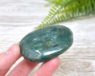 Moss Agate Palm Stone #1