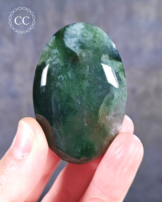 Moss Agate Palm Stone #4