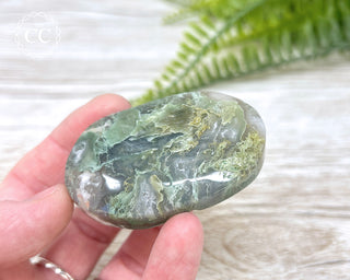 Moss Agate Palm Stone #3