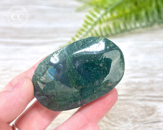 Moss Agate Palm Stone #4