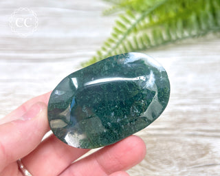 Moss Agate Palm Stone #4