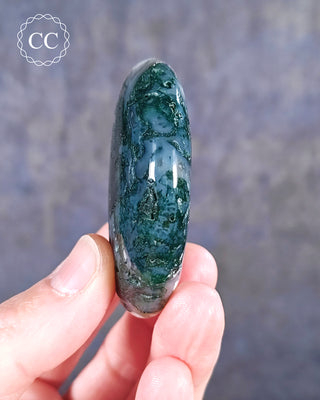 Moss Agate Palm Stone #5