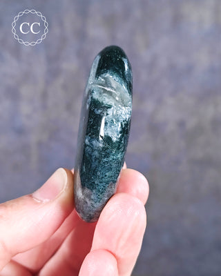 Moss Agate Palm Stone #1