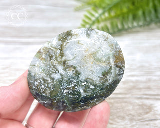 Moss Agate Palm Stone #5