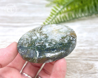 Moss Agate Palm Stone #5