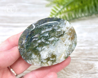 Moss Agate Palm Stone #5