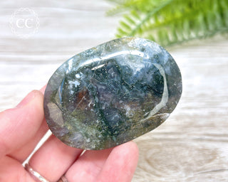 Moss Agate Palm Stone #6