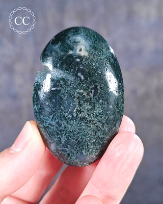 Moss Agate Palm Stone #1