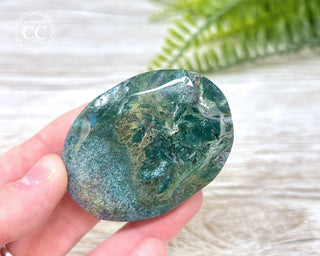 Moss Agate Palm Stone #1