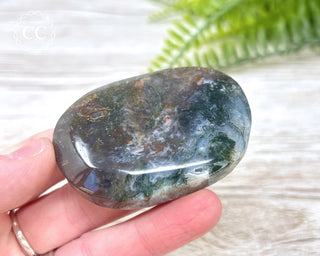 Moss Agate Palm Stone #6