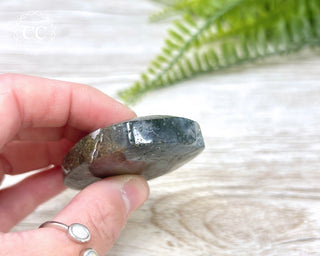 Moss Agate Palm Stone #6
