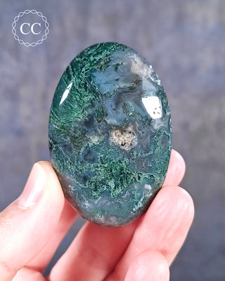 A hand holding a Moss Agate Palmstone