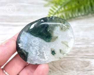 Moss Agate Palm Stone #7