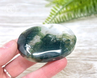 Moss Agate Palm Stone #7