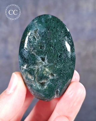 Moss Agate Palm Stone #9