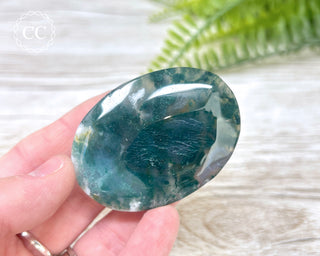 Moss Agate Palm Stone #8