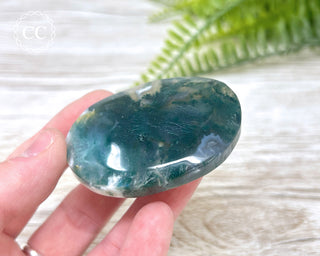 Moss Agate Palm Stone #8